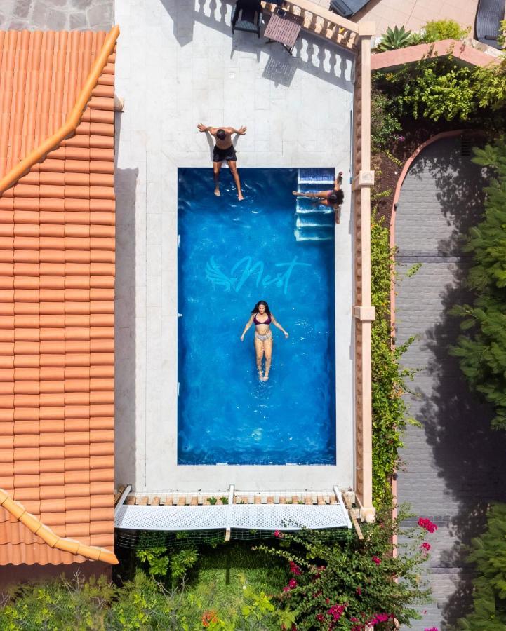 Duque Nest Hostel Costa Adeje (Tenerife) Exterior foto